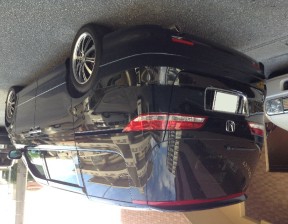 エリシオン査定